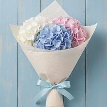 Букет цветов из:  Гортензия #REPLACE_PRED# Троицке