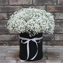 Цветочная композиция из Гипсофила в шляпной коробке в Троицке