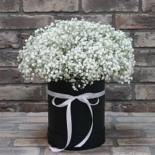 Цветочная композиция из Гипсофила в шляпной коробке в Троицке